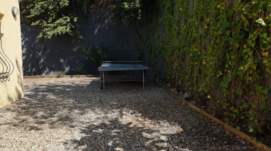 Ping-Pong Table