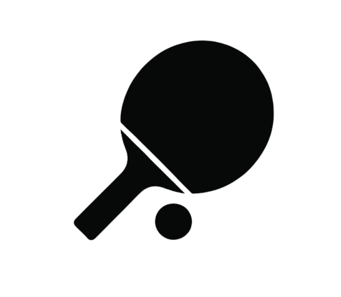 Ping Pong Table